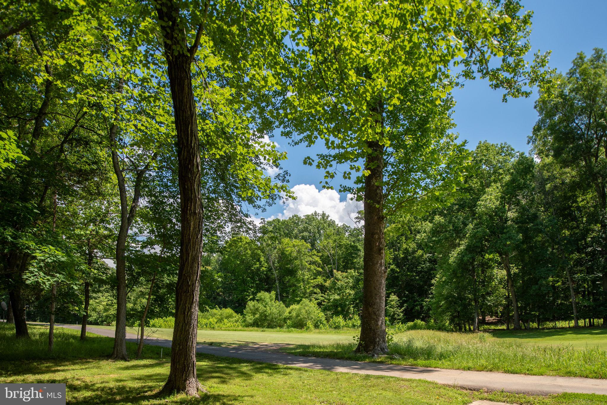 LAKE OF THE WOODS - Residential