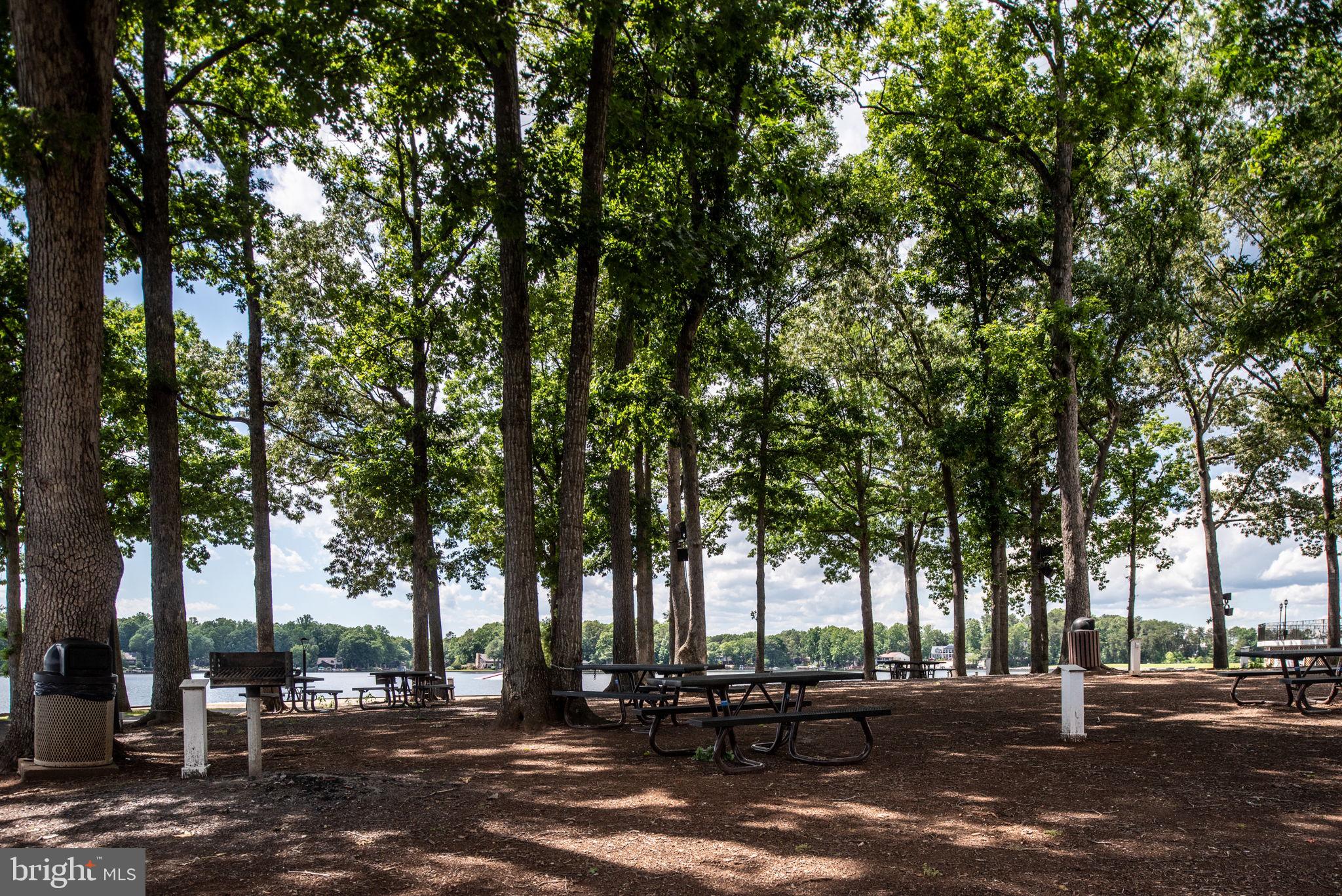 LAKE OF THE WOODS - Residential