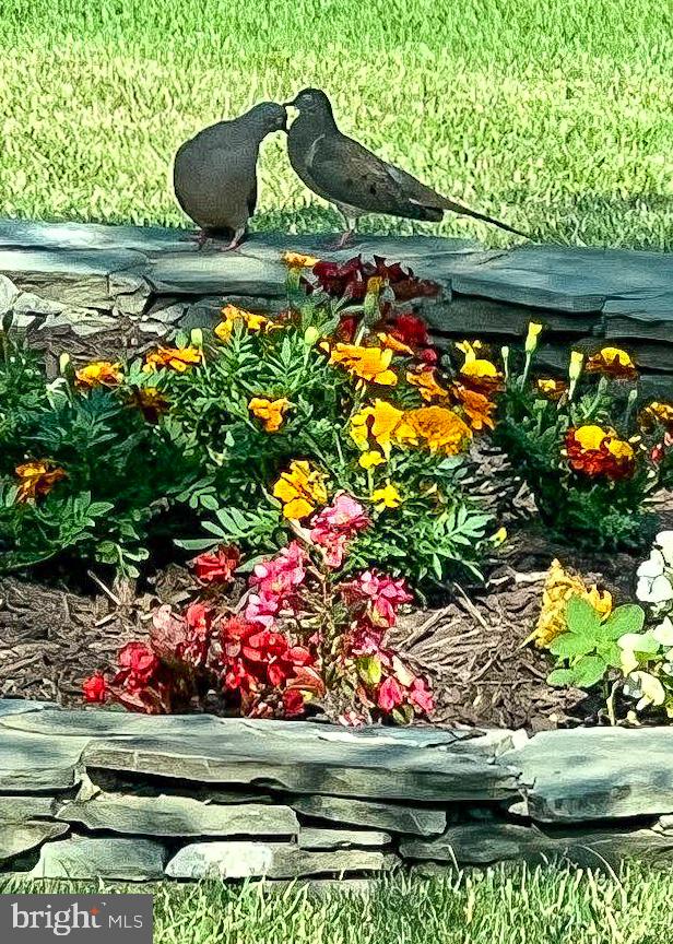 RIDGE VIEW ESTATES - Residential