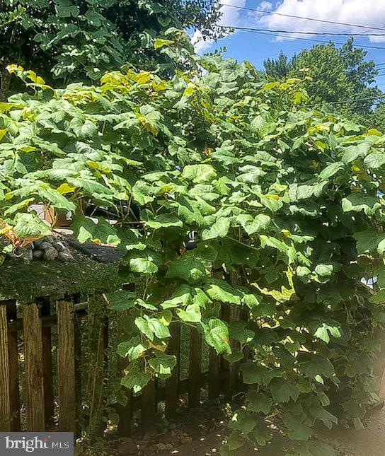 RIDGE VIEW ESTATES - Residential