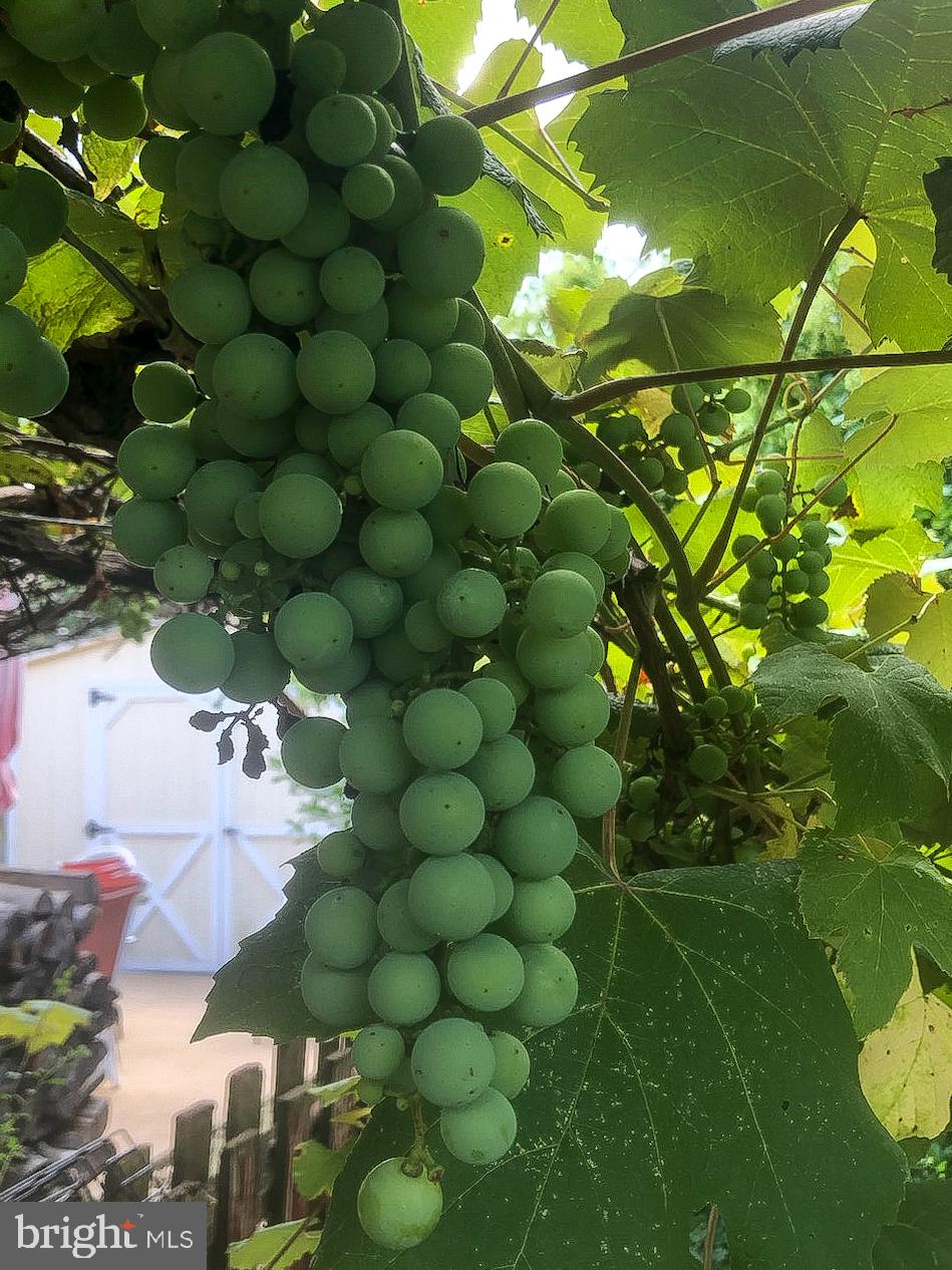 RIDGE VIEW ESTATES - Residential