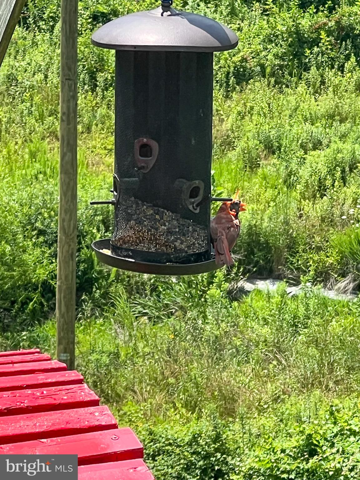 RIDGE VIEW ESTATES - Residential