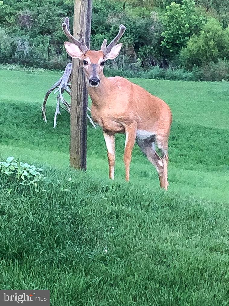 RIDGE VIEW ESTATES - Residential