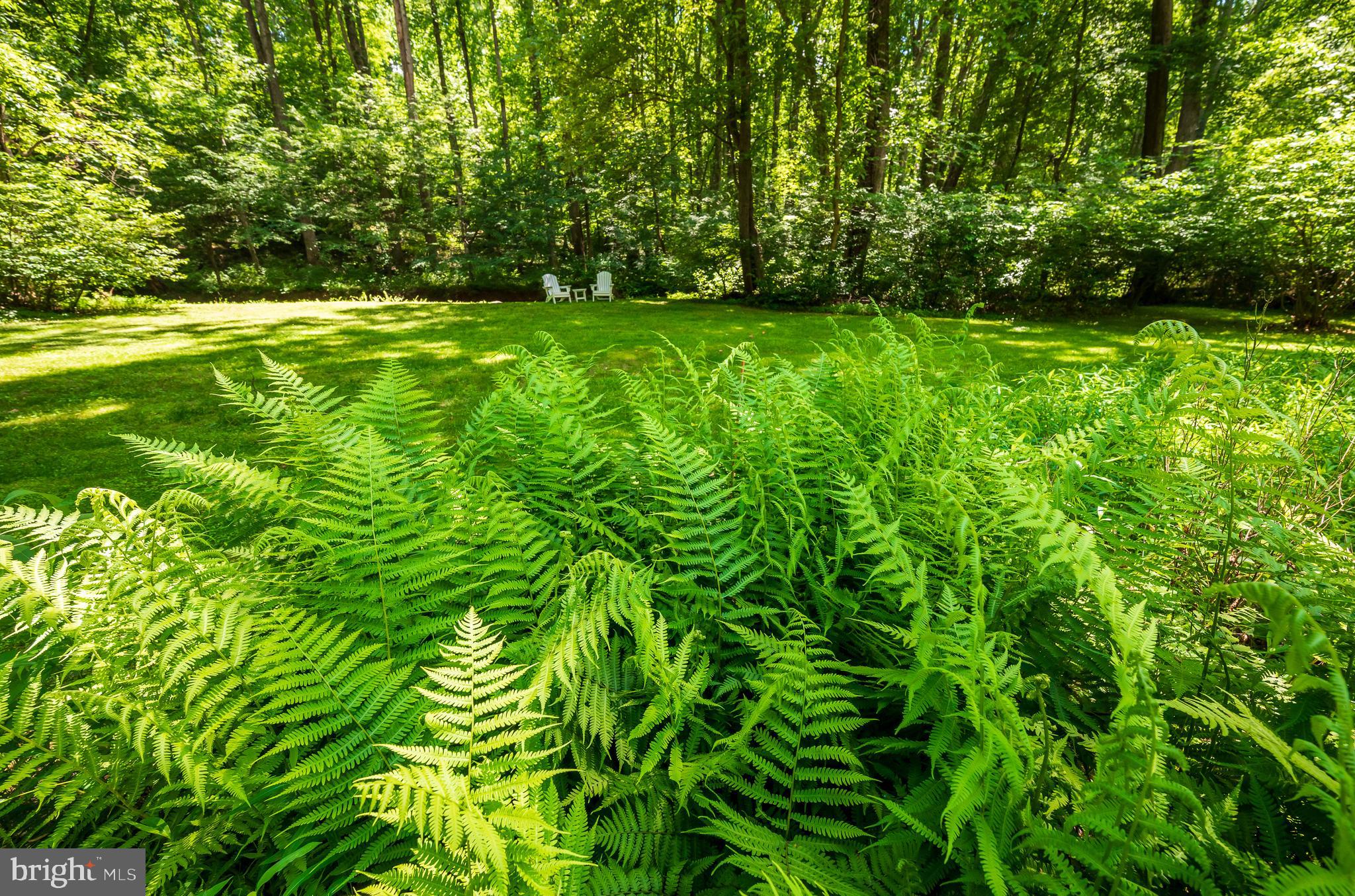 HARLOW - Residential