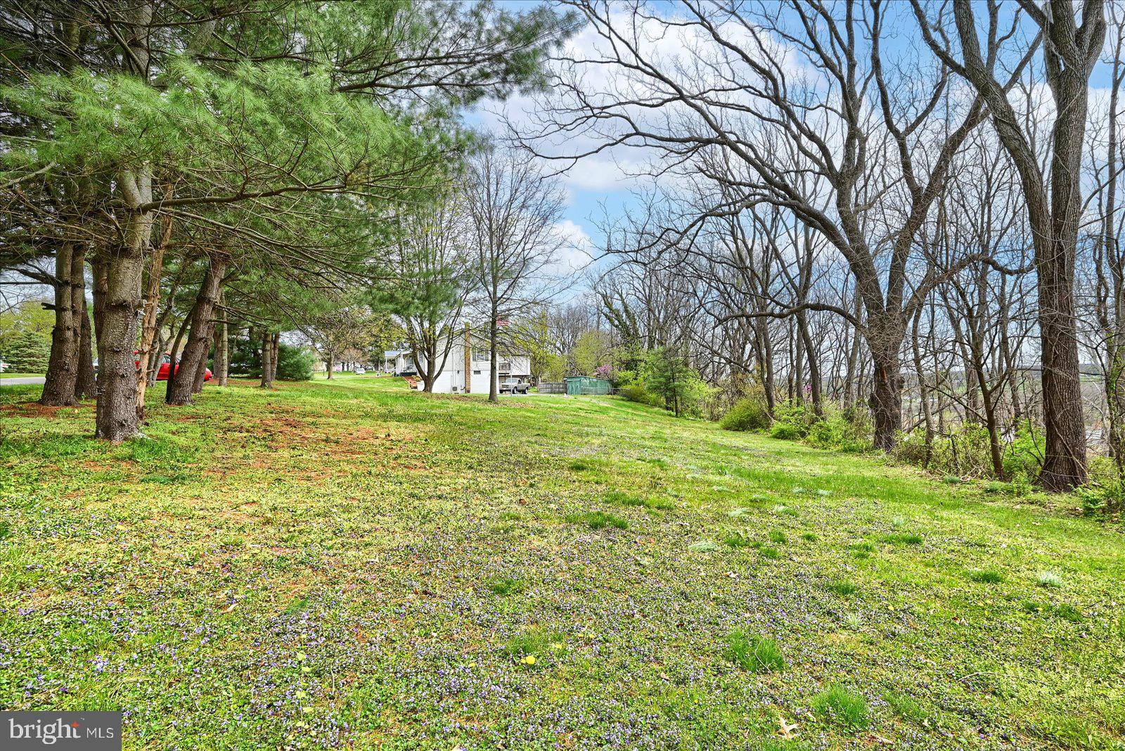 SPRING GROVE - Residential