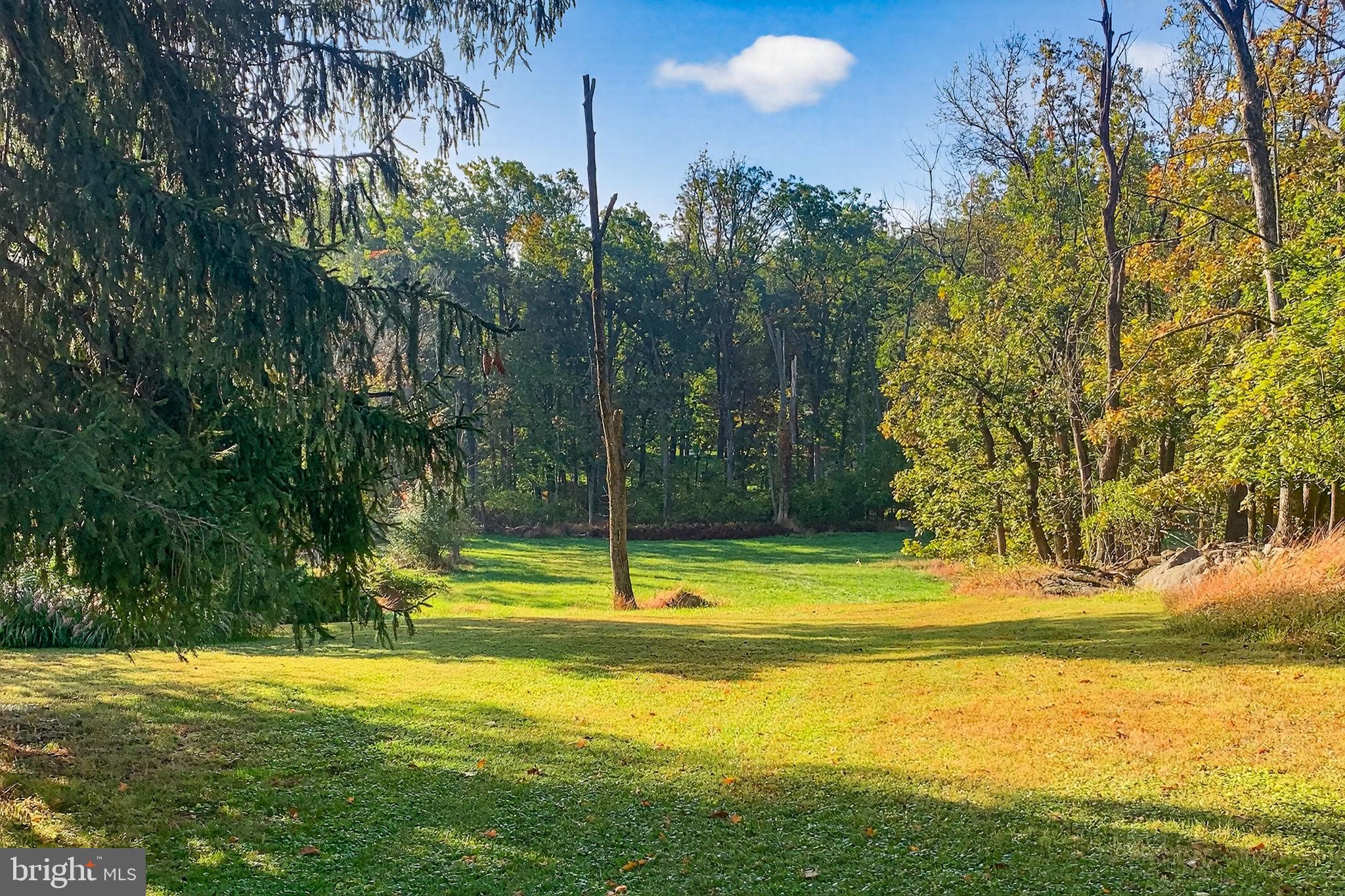 2304 BLACK RIVER ROAD