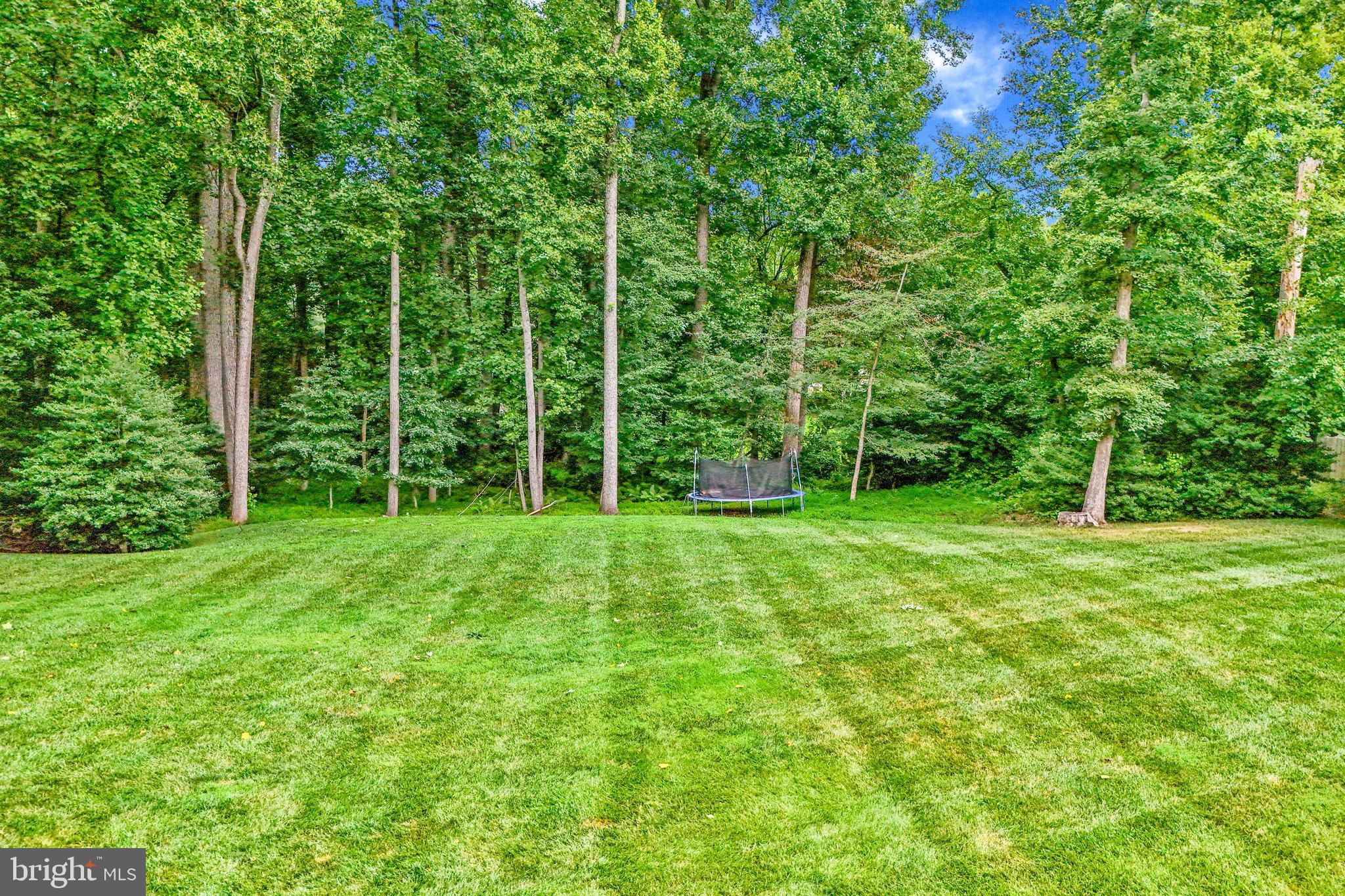 11556 HOLLY BRIAR LANE
