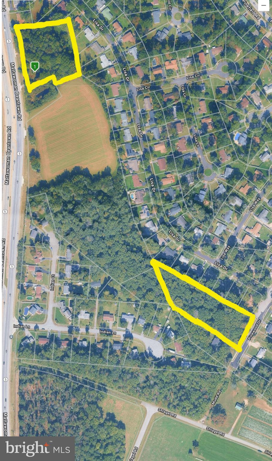 Main image without alt text