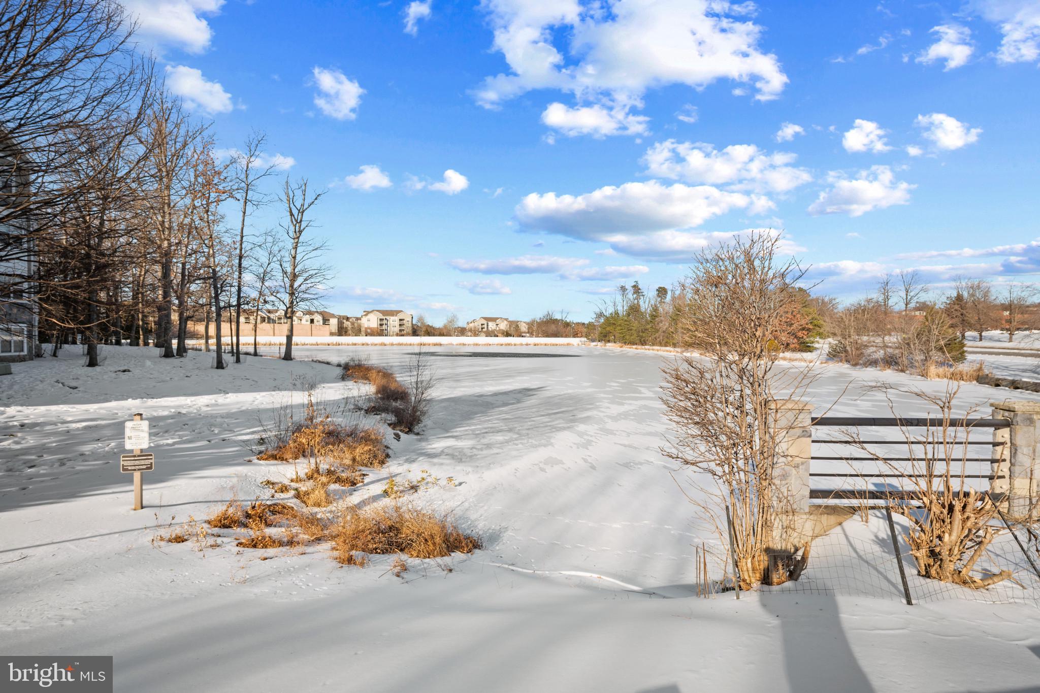 EDGEWATER AT TOWN CENTER - Residential