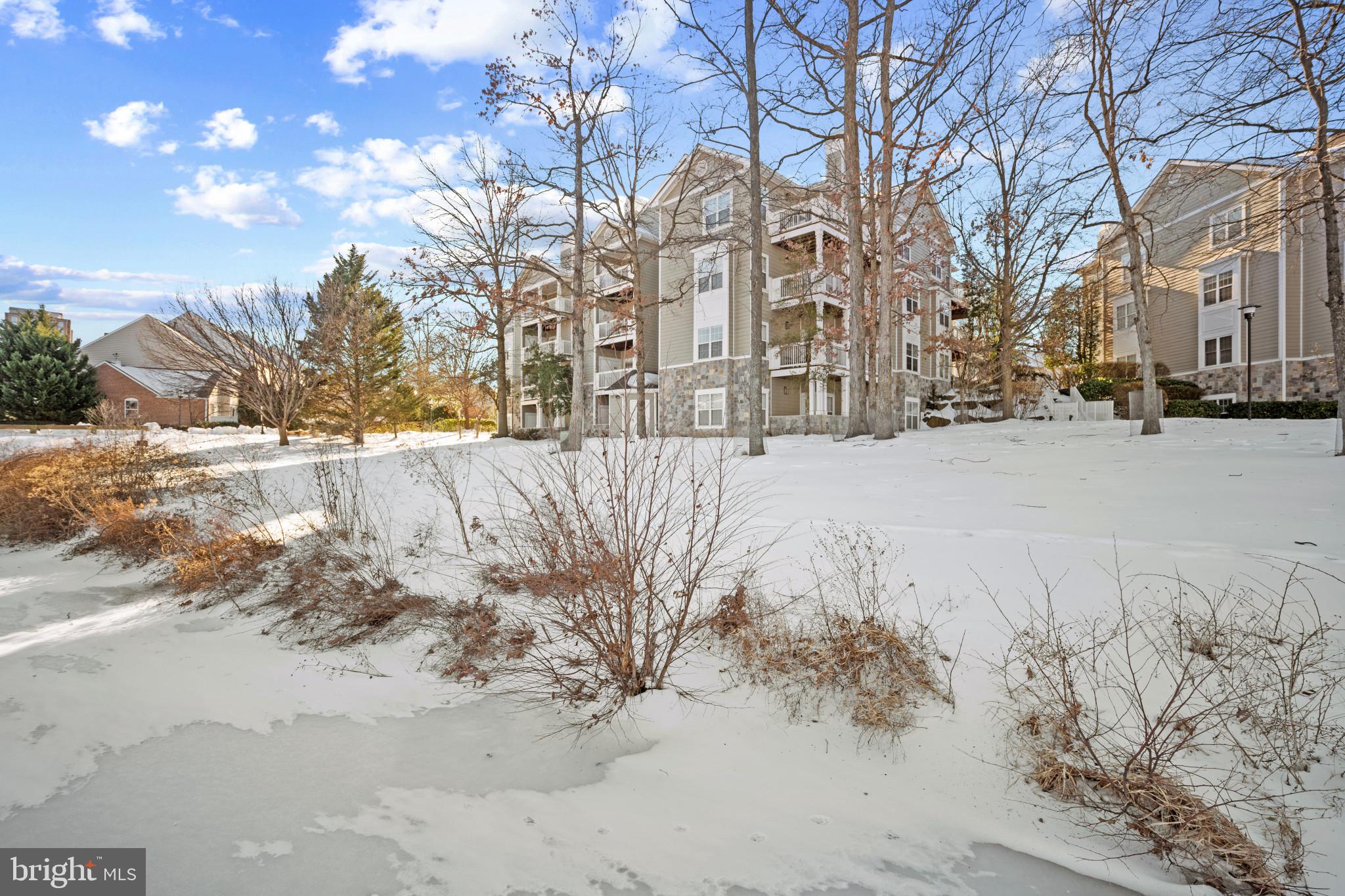 EDGEWATER AT TOWN CENTER - Residential