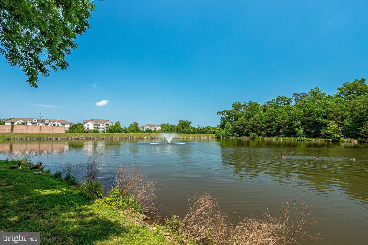 1724 LAKE SHORE CREST DRIVE 25