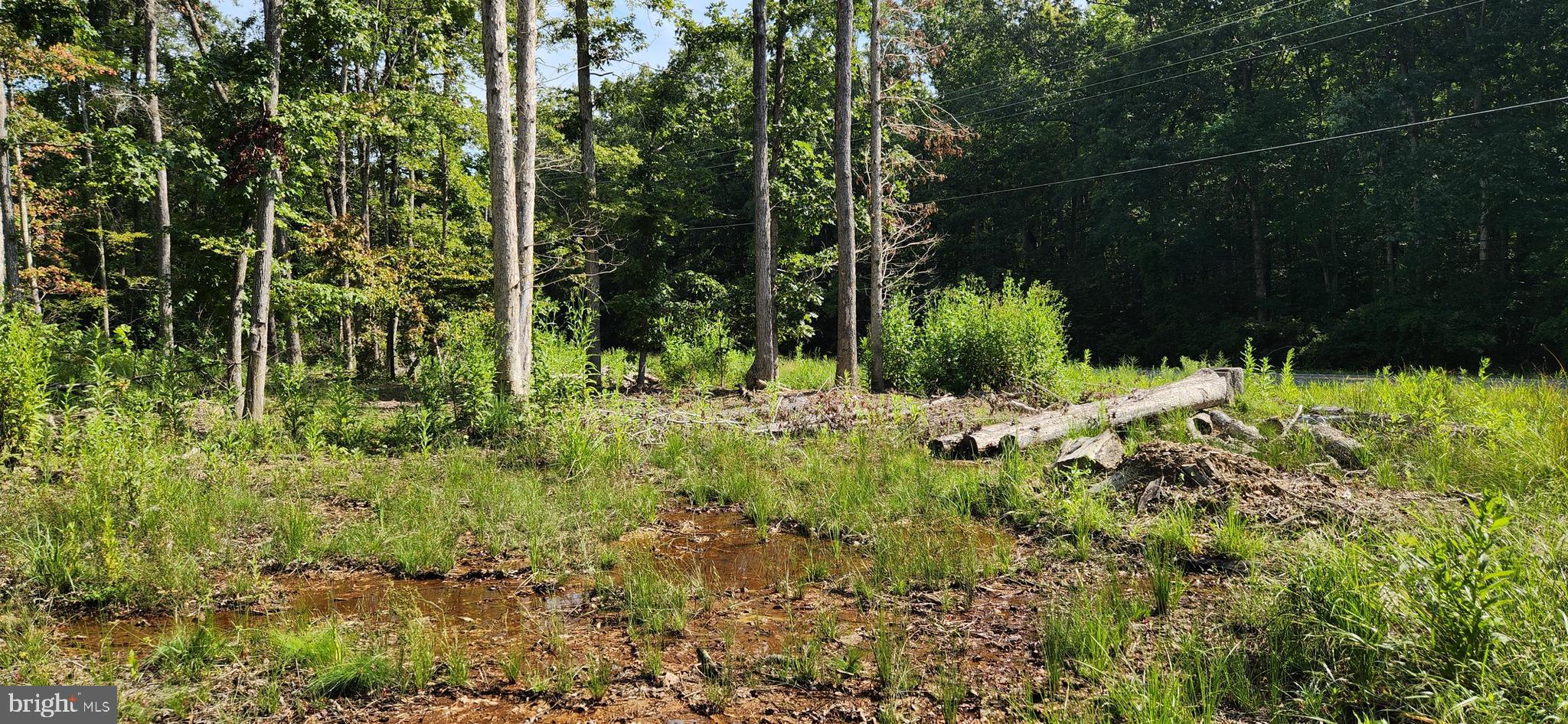 MILLER'S HILL SUB - Land