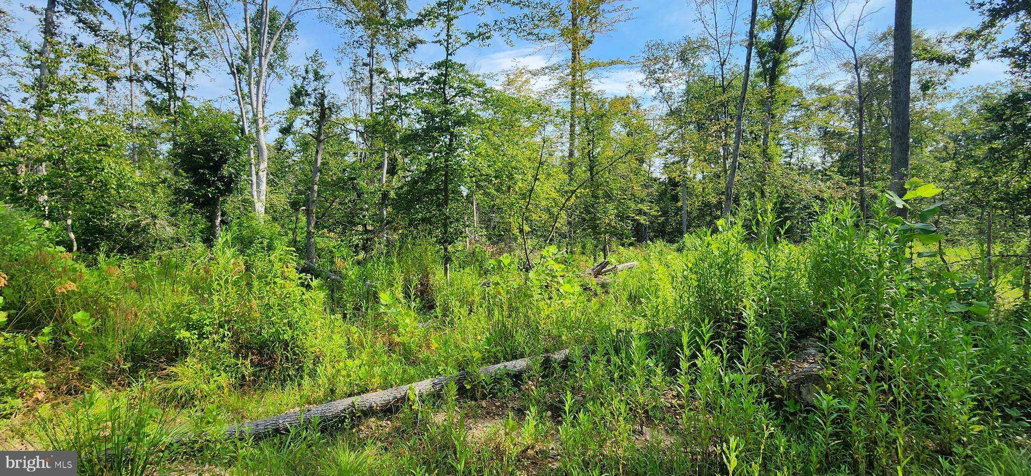 MILLER'S HILL SUB - Land