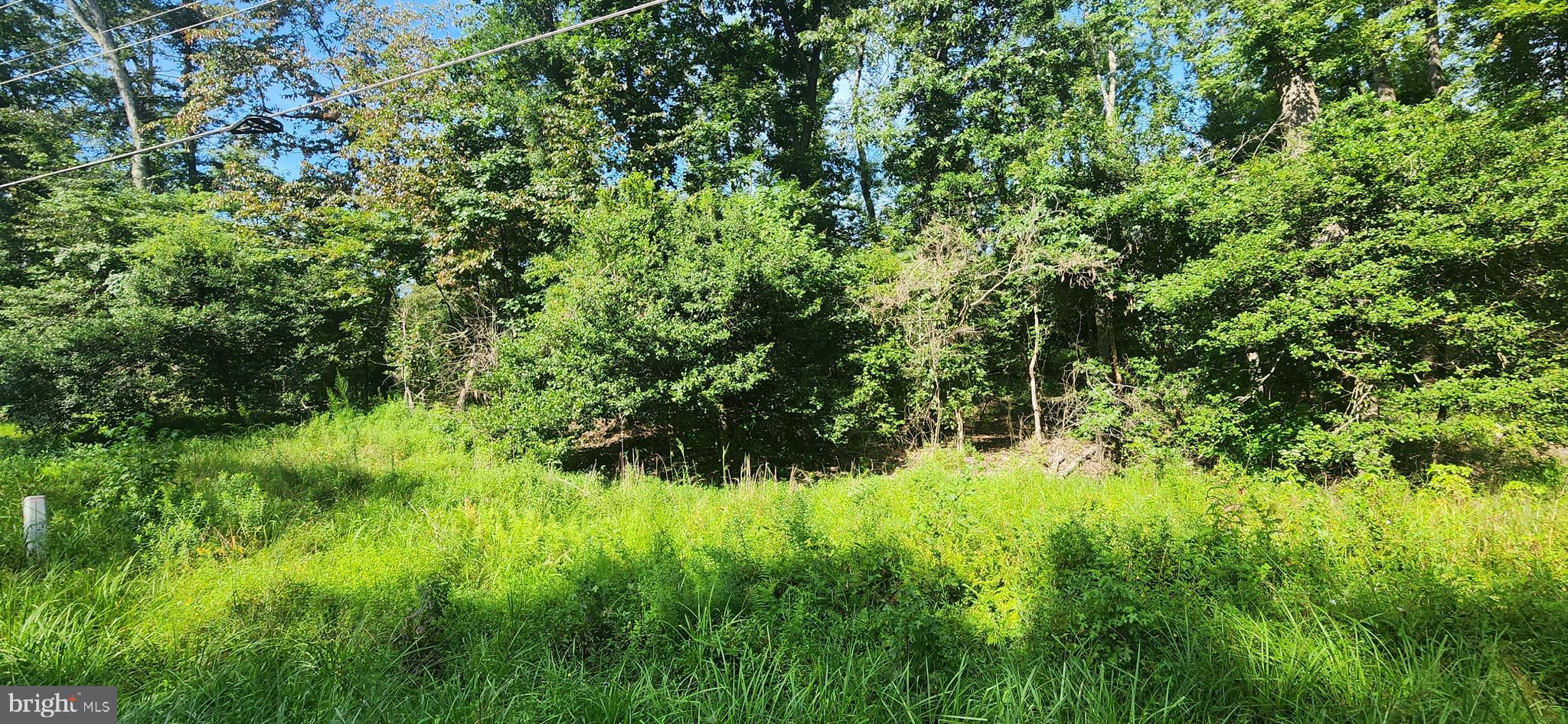 MILLER'S HILL SUB - Land