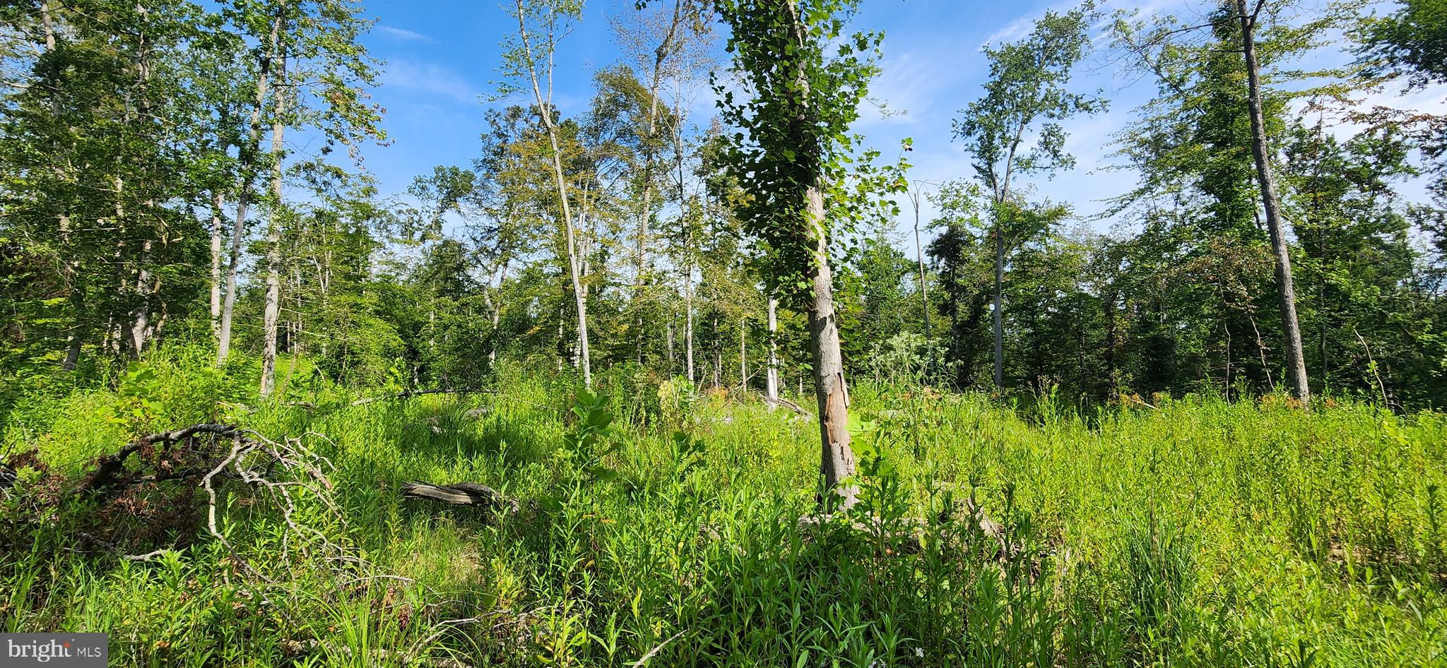 MILLER'S HILL SUB - Land