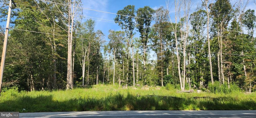 Your Rural Escape – 40.7 Acres on Hawthorne Road
This property is located outside La Plata, this 40.7 acre property in the Miller’s Hill Subdivision offers space, location, and endless potential. Two contiguous parcels are sold together:
•