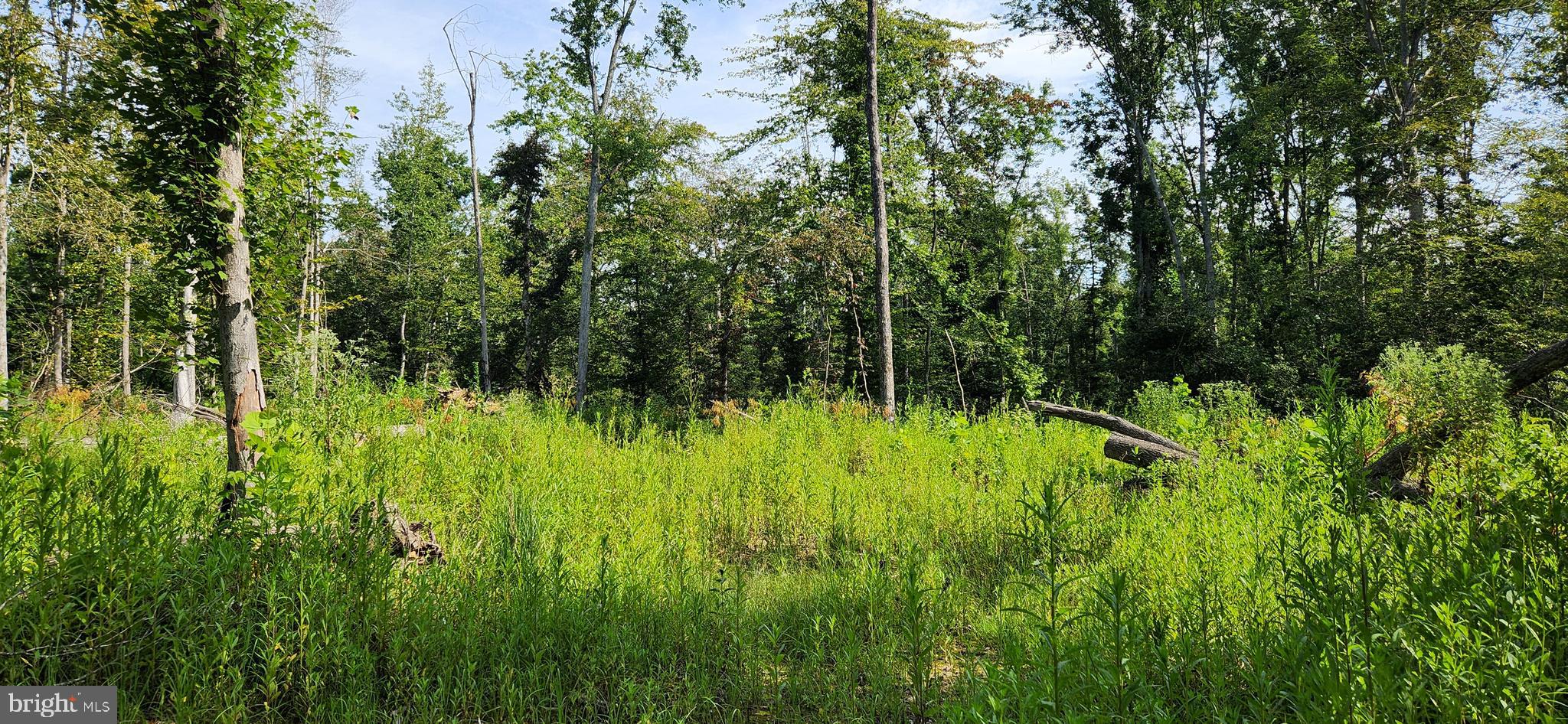 MILLER'S HILL SUB - Land