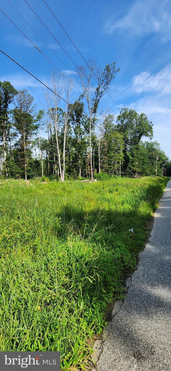 MILLER'S HILL SUB - Land