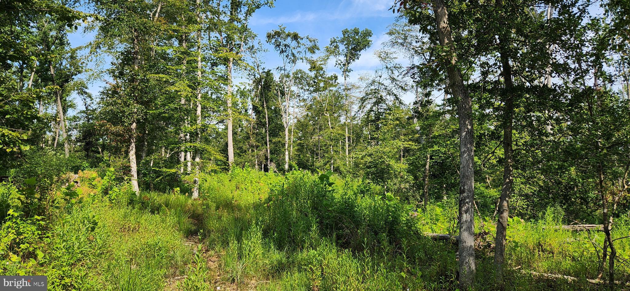 MILLER'S HILL SUB - Land