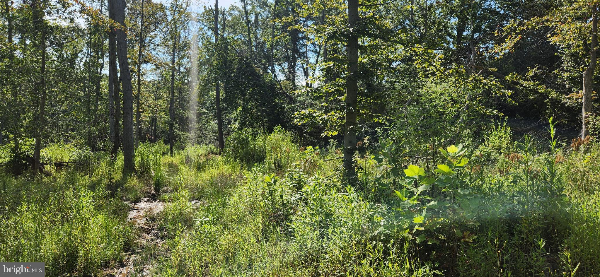 MILLER'S HILL SUB - Land