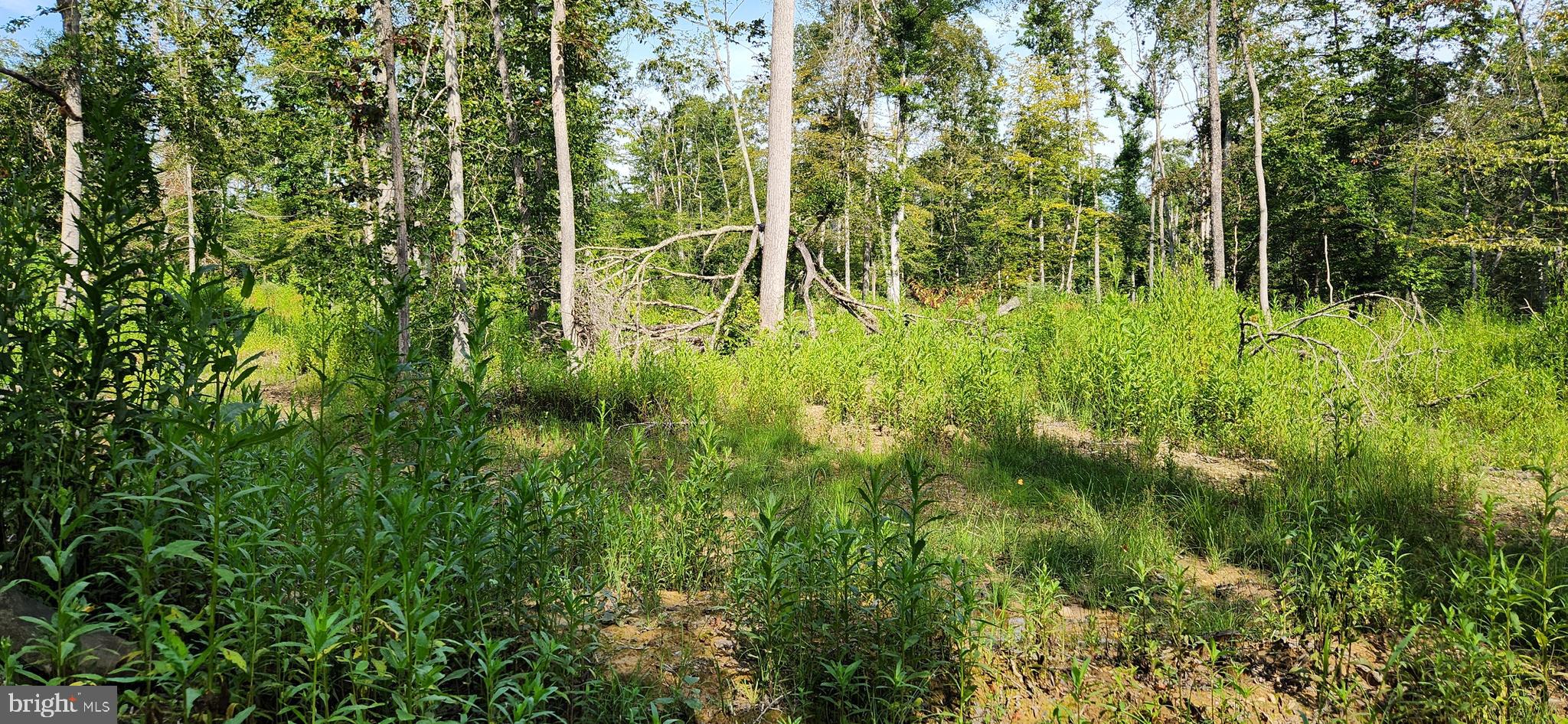 MILLER'S HILL SUB - Land