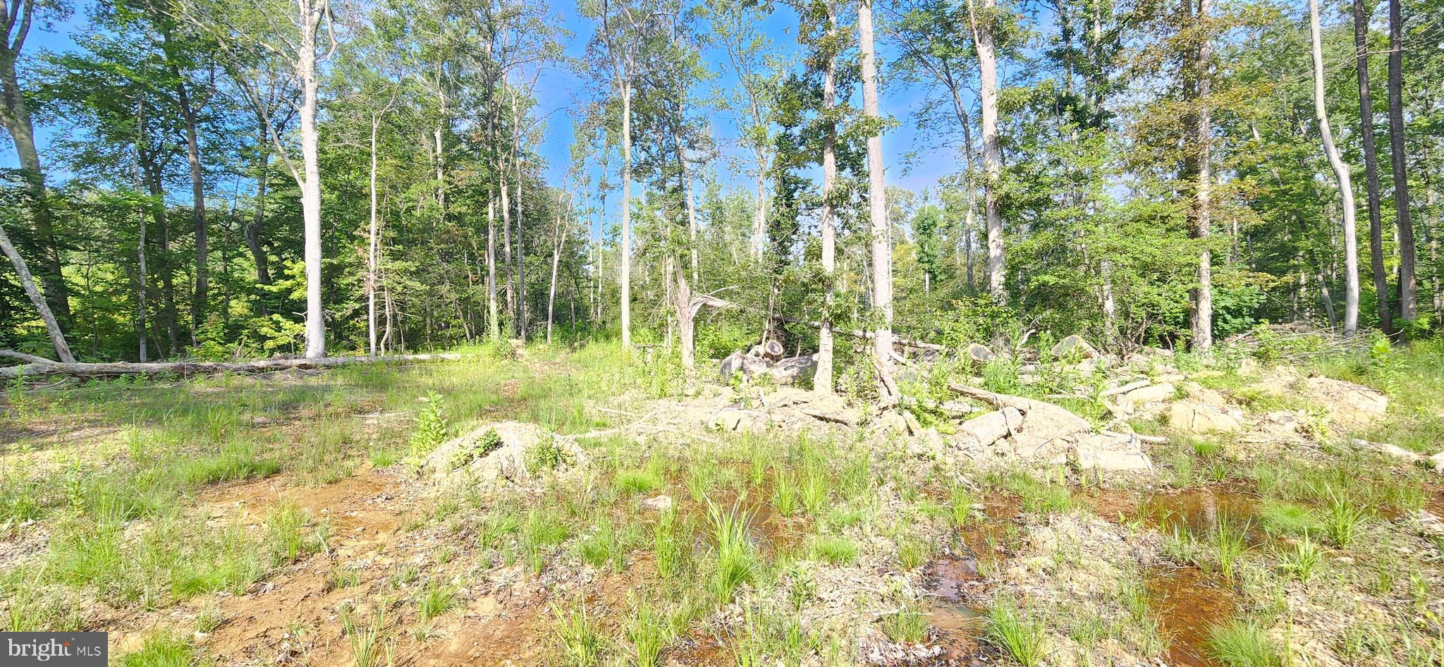 MILLER'S HILL SUB - Land