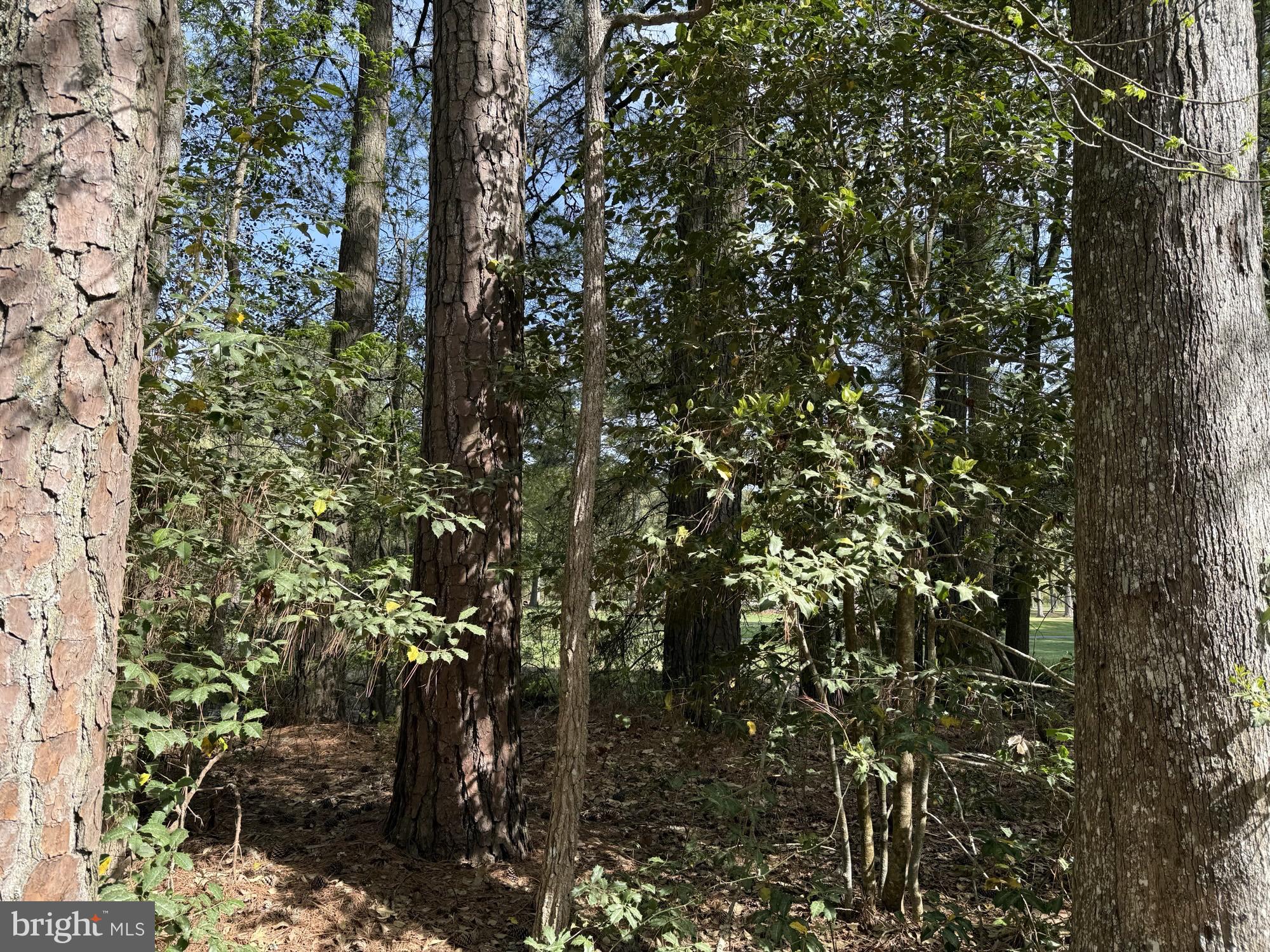 GOLF CLUB SHORES III - Residential