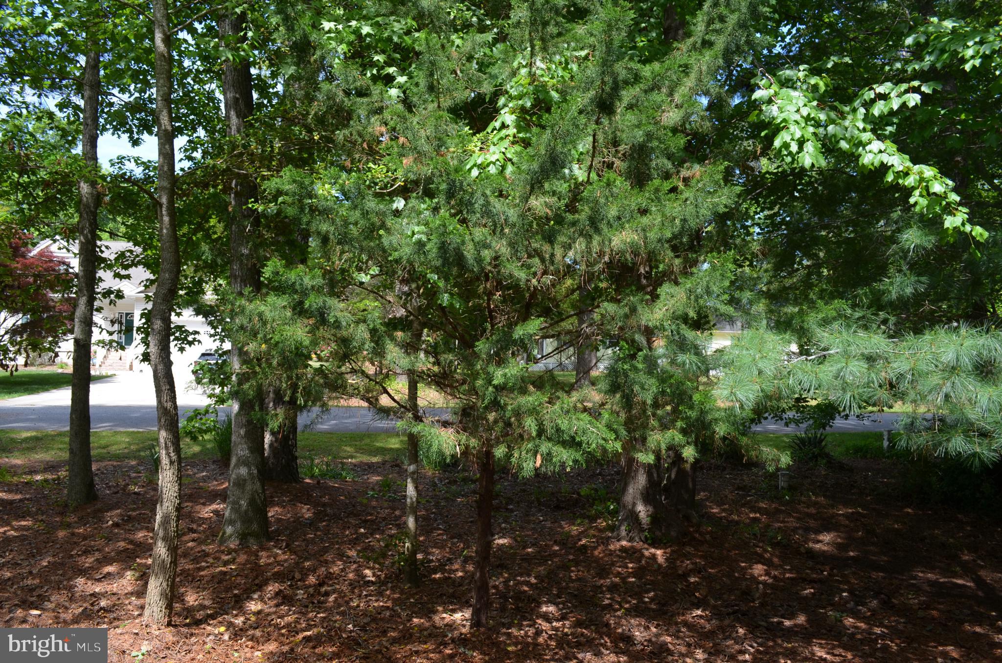 GOLF CLUB SHORES III - Residential