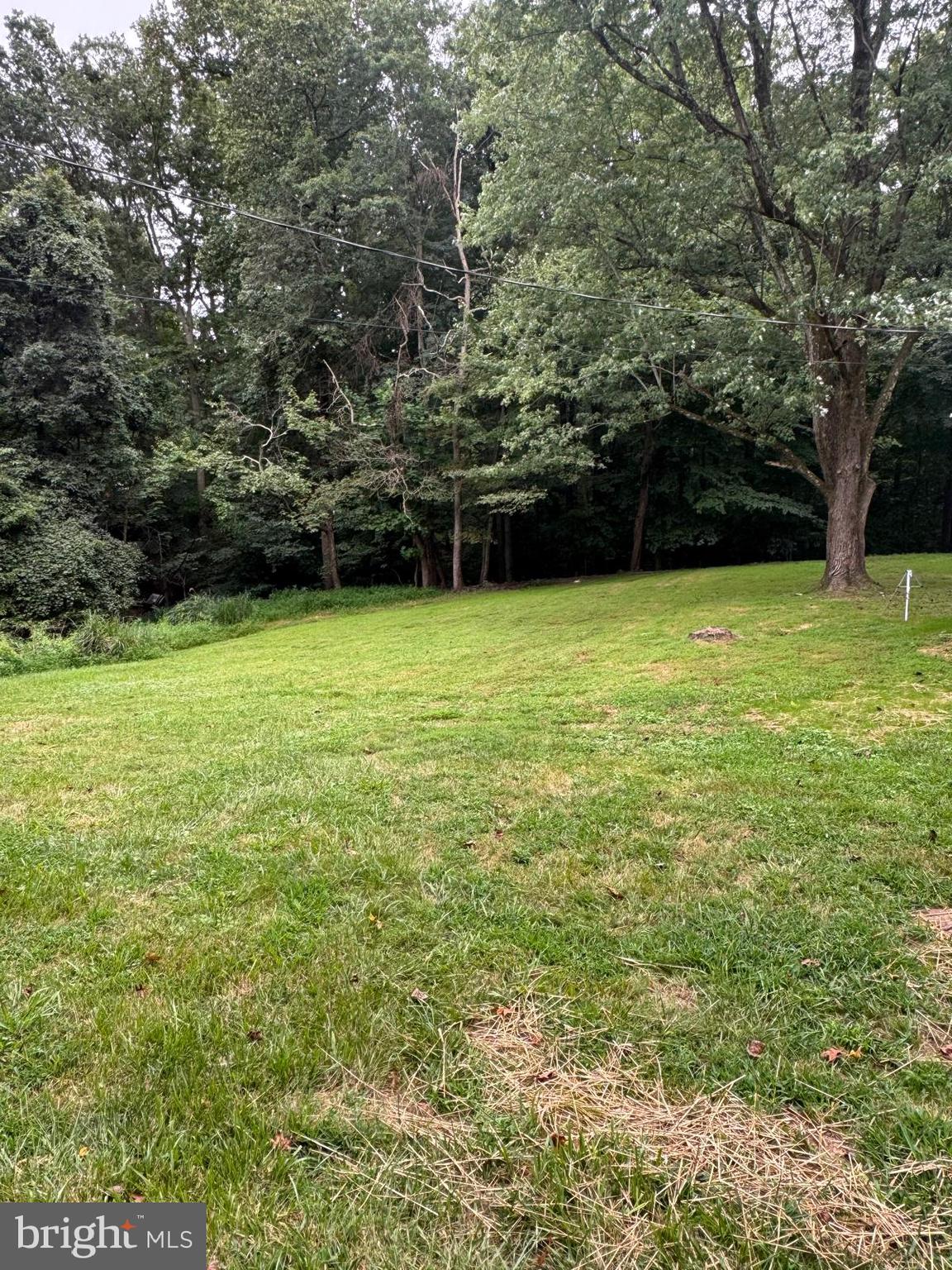 7109 WEBSTER LANE