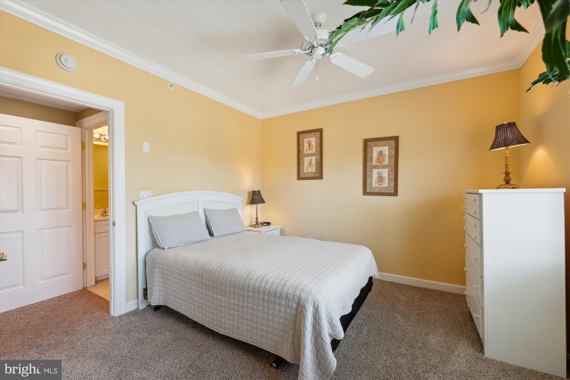 NON DEVELOPMENT - Residential