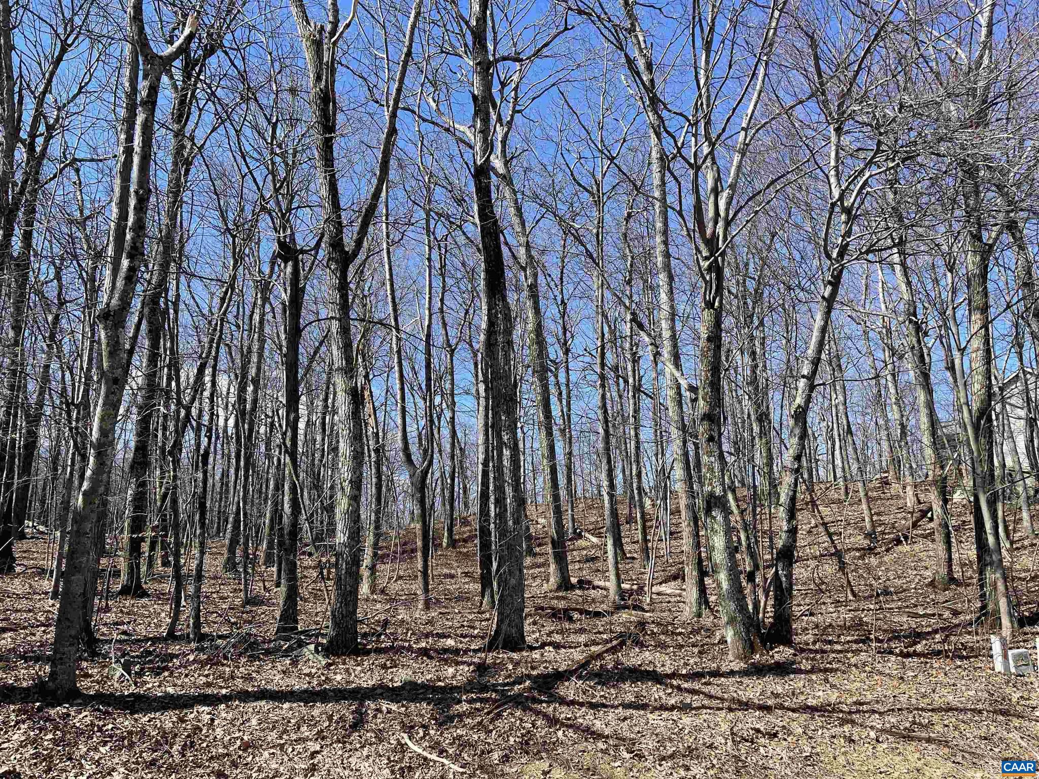 1025 BLUE RIDGE DR CHESTNUT SPRINGS LOT