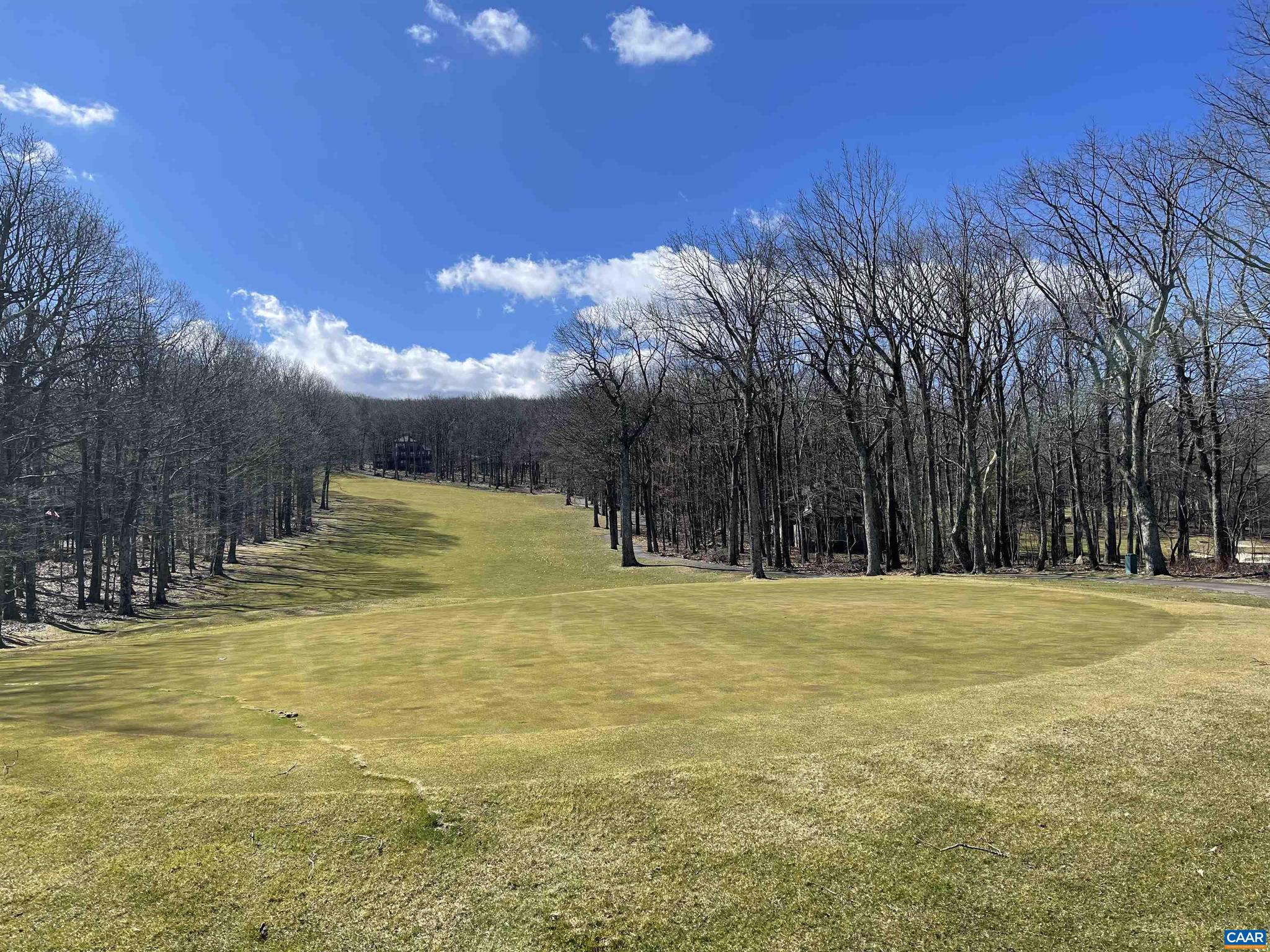 1025 BLUE RIDGE DR CHESTNUT SPRINGS LOT