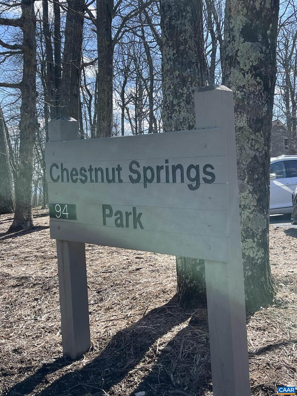 1025 BLUE RIDGE DR CHESTNUT SPRINGS LOT