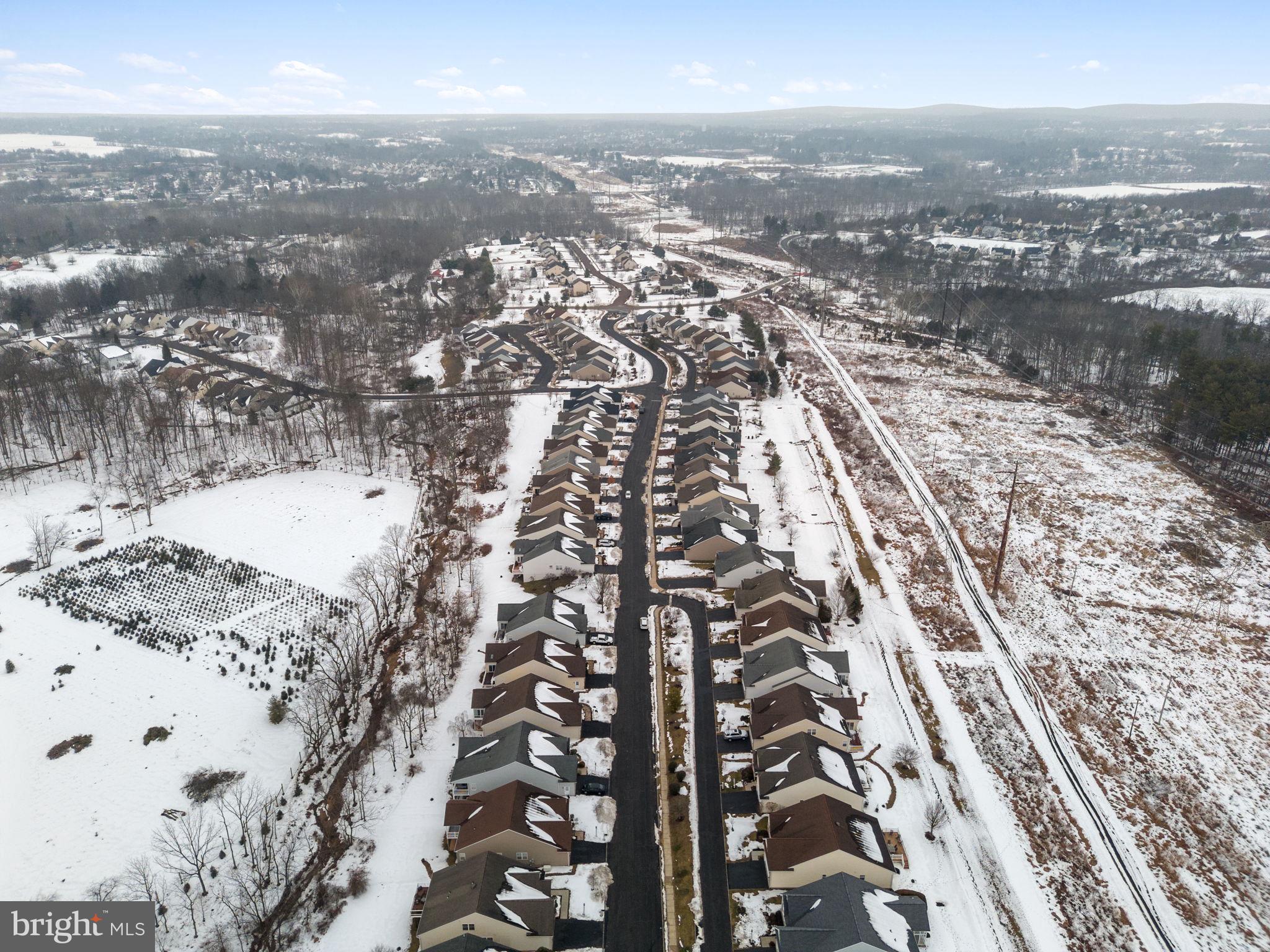 THE MEADOWS AT SKI - Residential