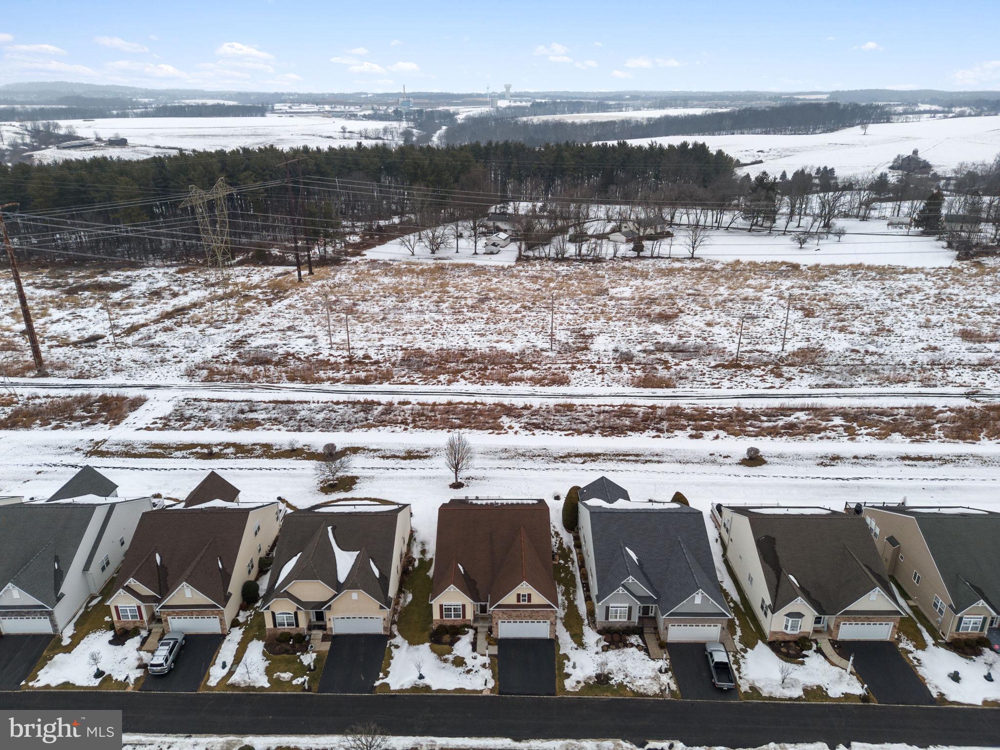 THE MEADOWS AT SKI - Residential