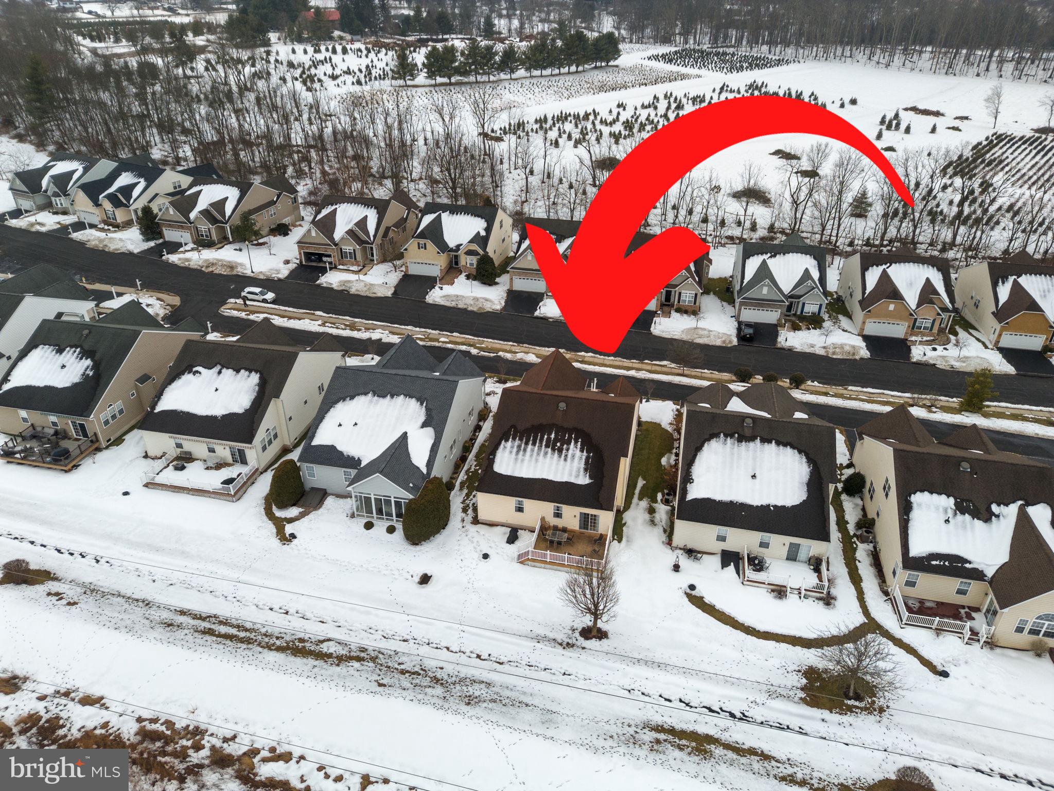 THE MEADOWS AT SKI - Residential