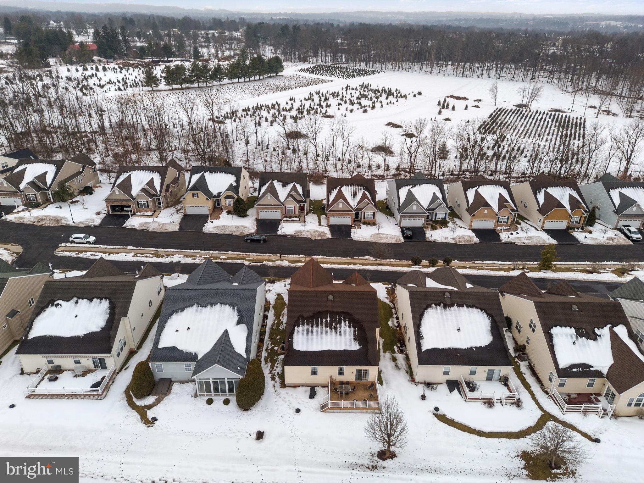 THE MEADOWS AT SKI - Residential