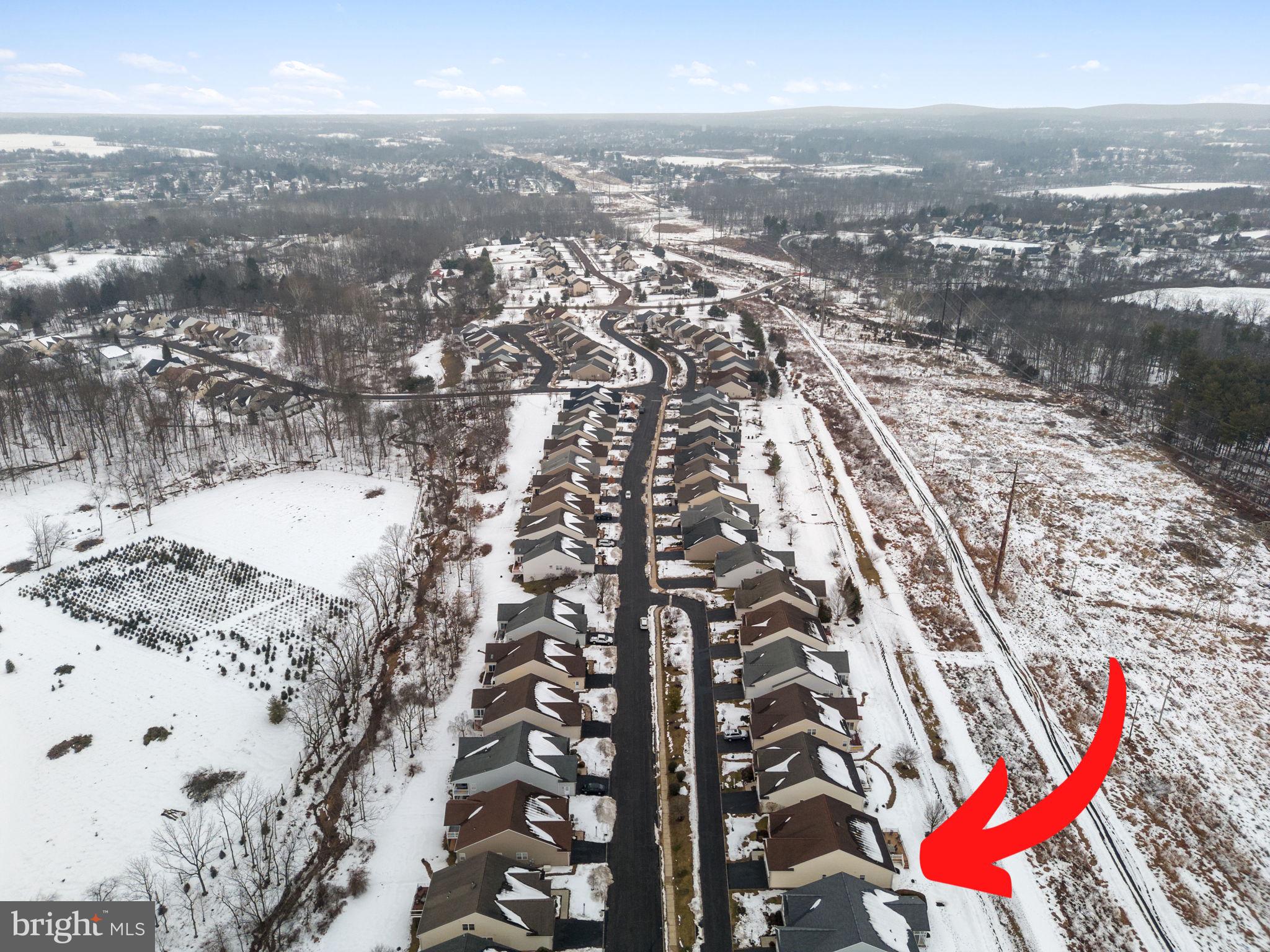 THE MEADOWS AT SKI - Residential