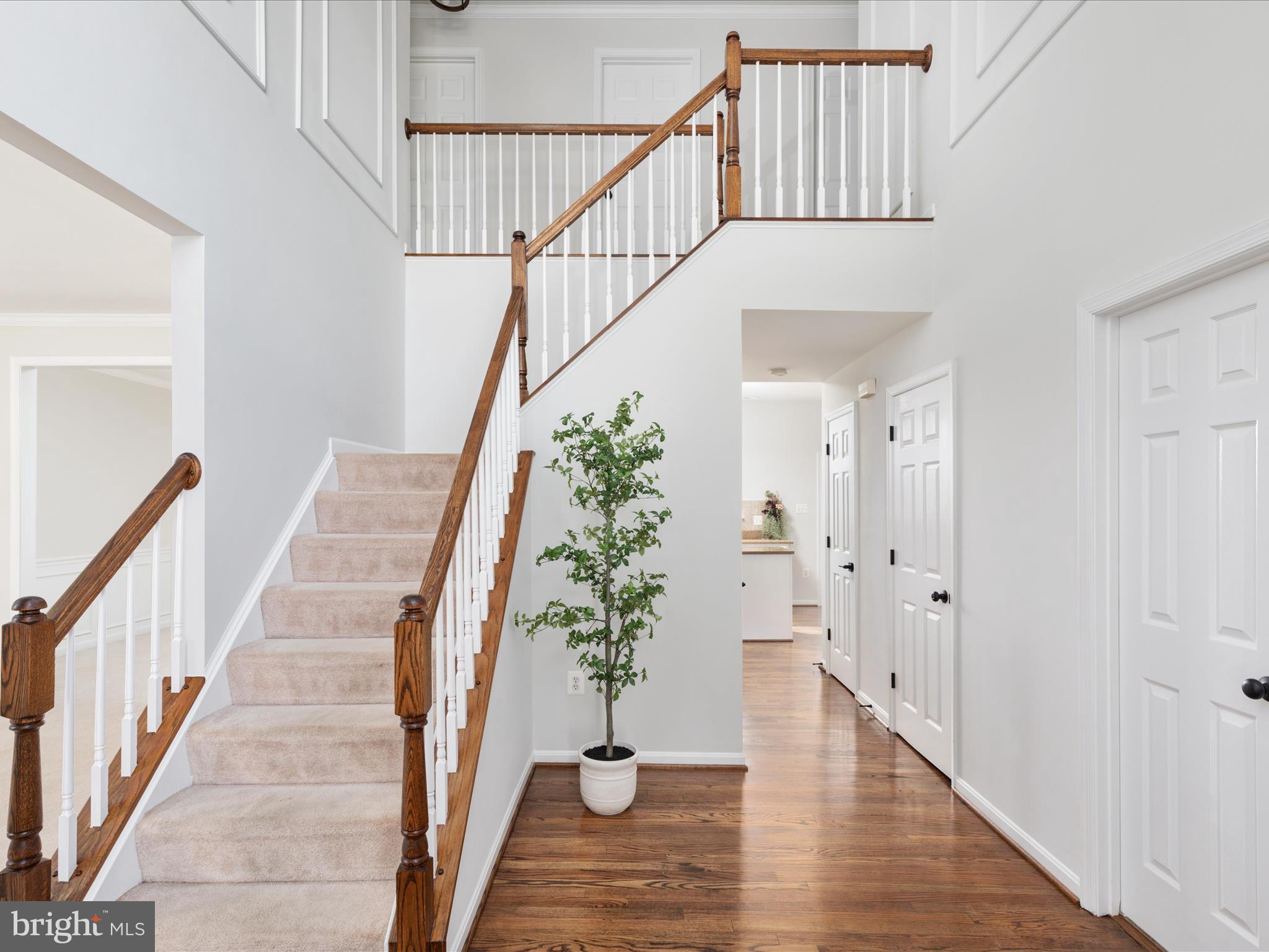 SHEFFIELD MANOR - Residential