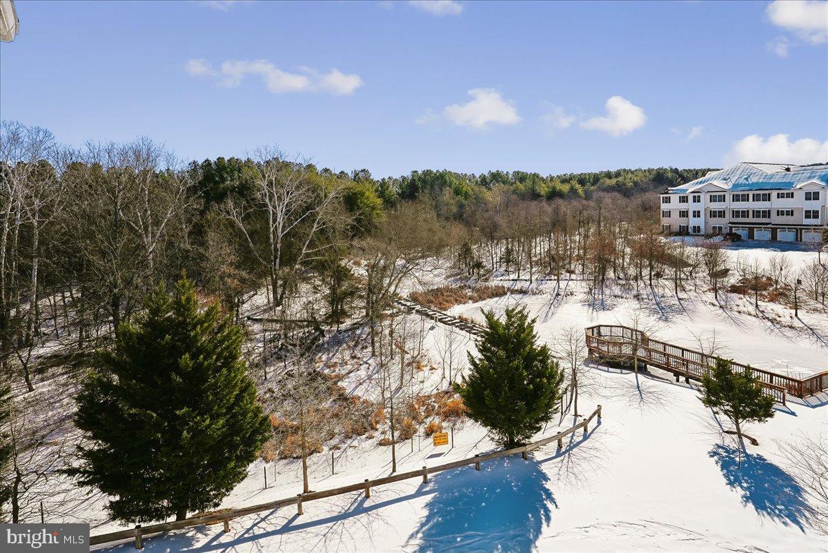 REGENCY AT DOMINION VALLEY - Residential