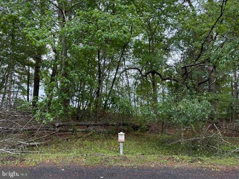 Vacant Land For Sale - 58 Neptune Drive<br/> GREENBACKVILLE, VA 23356