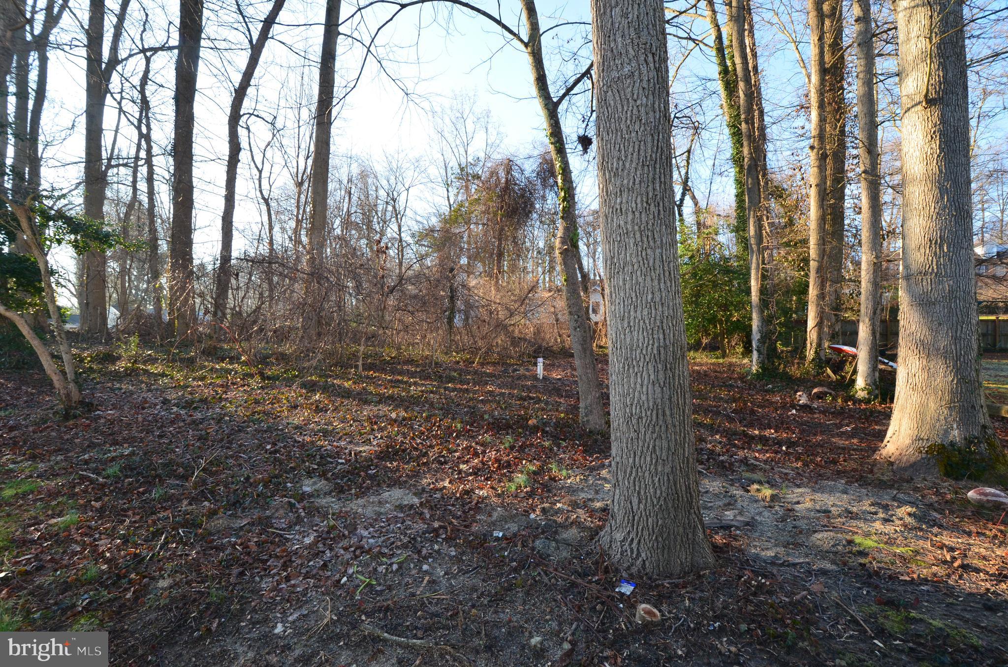 SELBY ON THE BAY - Residential