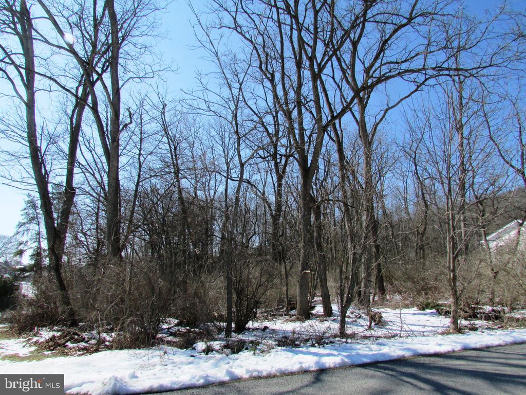 Photo of Lot On Emery Road, CENTRE HALL, PA 16828 (MLS # PACE2517890)