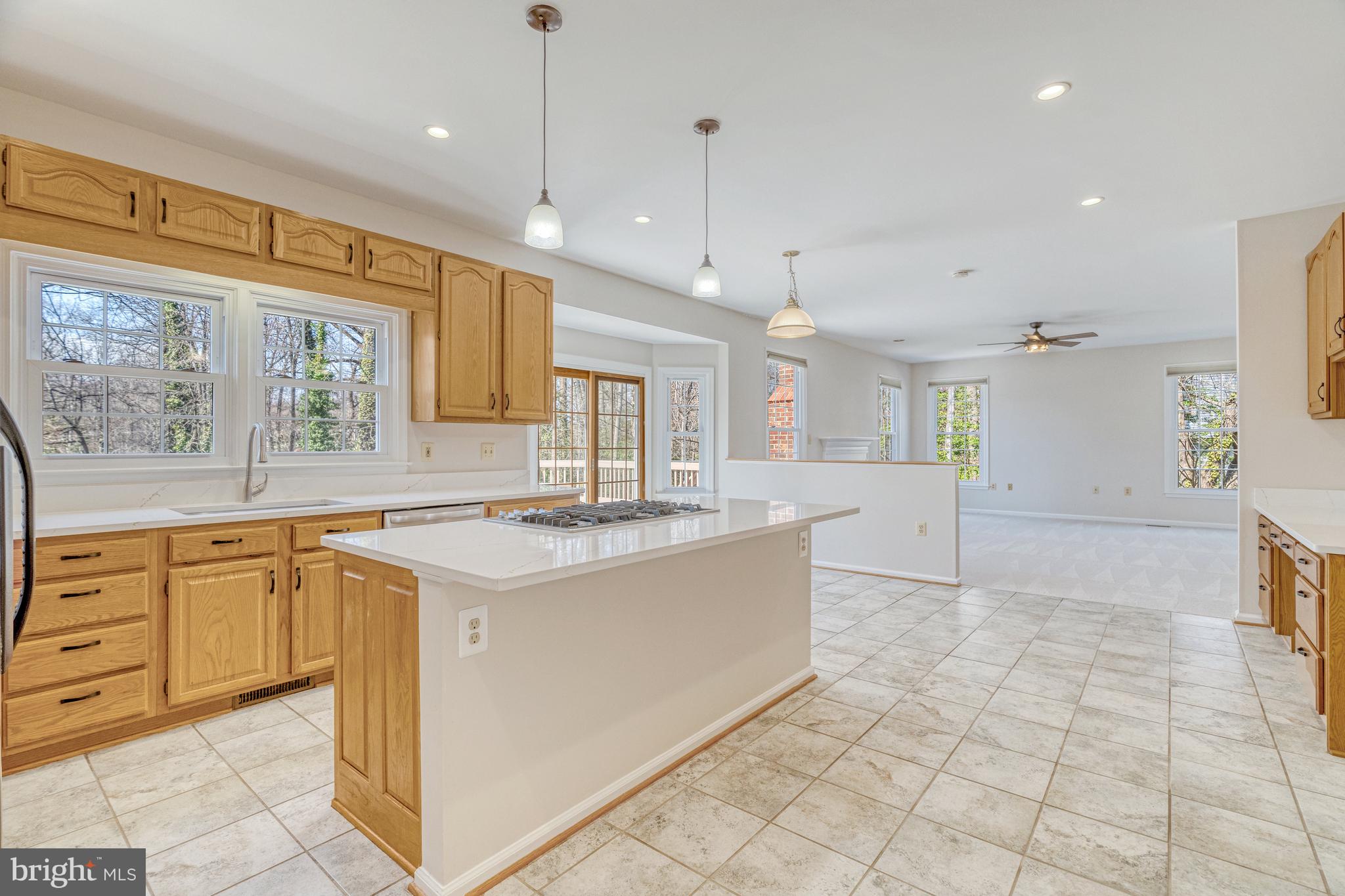 LITTLE VIENNA ESTATES - Residential