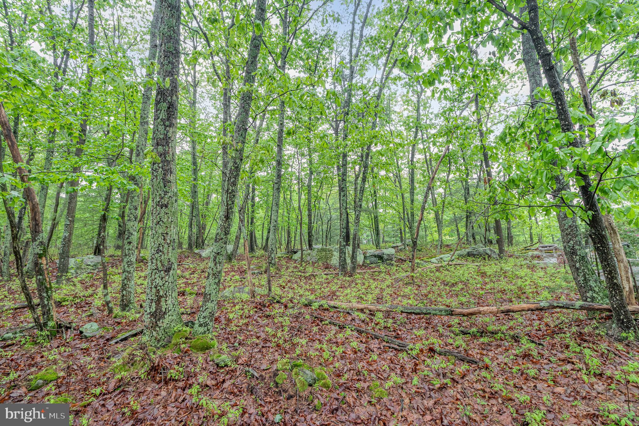 Beautiful 1.68-Acre Wooded Lot! Nestled in a serene, natural setting, this 1.68-acre parcel offers privacy, mature trees, and endless possibilities. Zoned Rural Residential, it's perfect for building your dream home, a weekend retreat, or a private getaway surrounded by nature. Enjoy the tranquility of country living while still being within reach of nearby conveniences. Don’t miss this opportunity to own your own slice of peaceful, wooded land!
