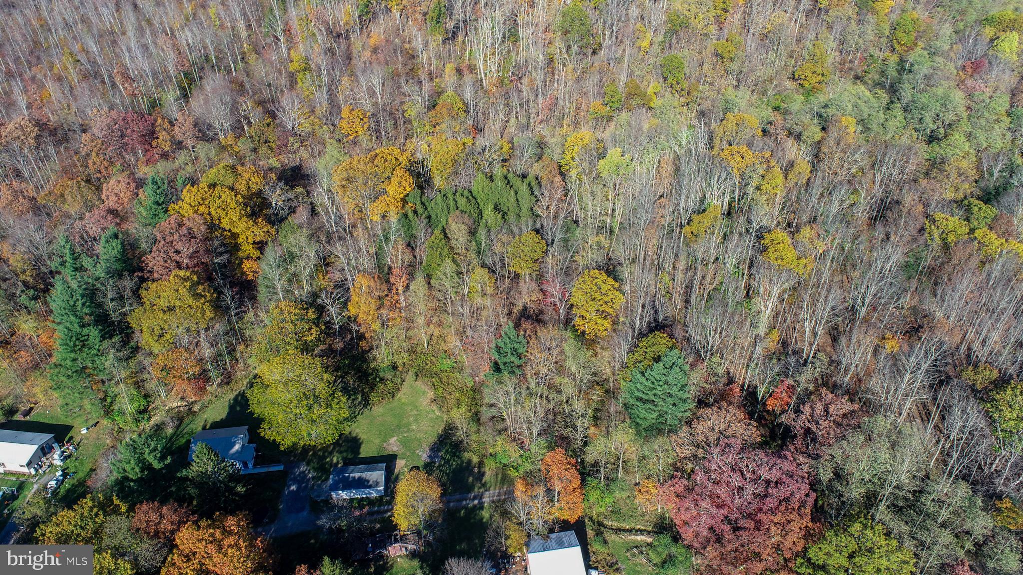 WHITE CHURCH - Residential