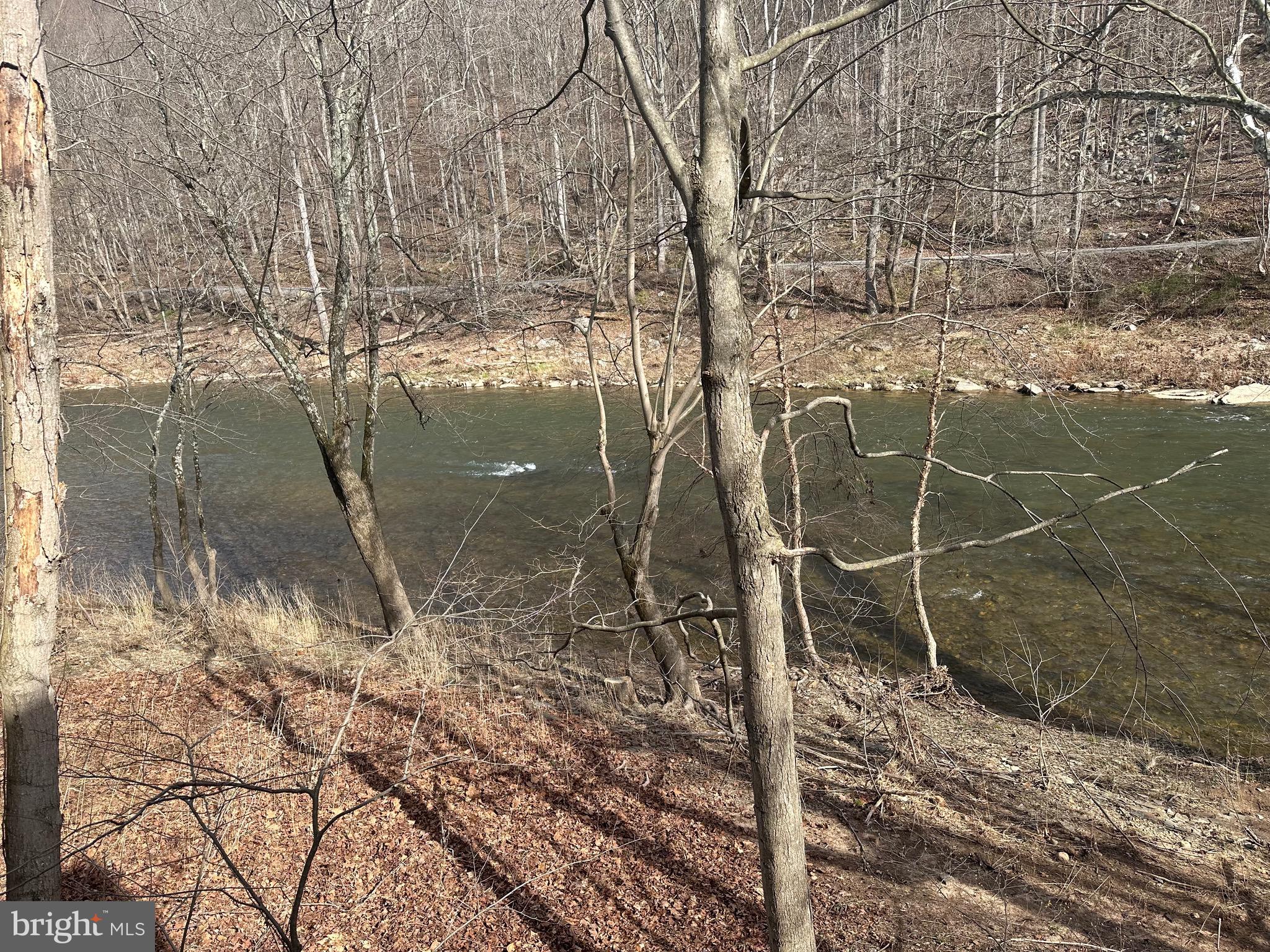 CACAPON RIVER MEADOWS - Residential