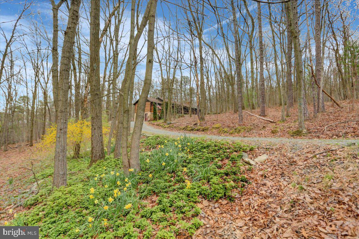 PINEBROOK - Residential