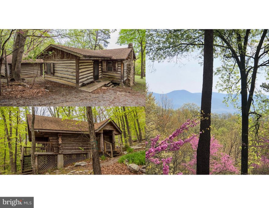 "Quail High" - 2 Rustic Cabins Fully Immersed in Nature on 5.88 Acres (3 Lots) is the Escape from the Hectic Work-Week that you've been searching for.  Easy Commute to Luray, and driveway is just off State-Maintained Paved Road.  Property consists of: Main Cabin with 1 Bedroom, Full Bathroom, and Living Room/Kitchen with Vaulted Ceiling & Wood Burning Fireplace; Sleeping Quarters Cabin with Open Main Level Sleeping Area, 2nd Level Sleeping Loft, and Half Bathroom; Cabin Workshop (12x13 enclosed) with Covered Outside Storage Space (Perfect Place for Picnic Tables). Both Cabins have Rear Facing Covered Decks with Wooden Swings overlooking Cleared Rear Yard & Mountain Views.  Enjoy the  National Park  Feel of this Gorgeous Land as you stroll on the Walking Path encompassing the Property.  Rock Garden/Picnic Area in Woods of Property just off the Walking Path.  Cabins are being sold furnished (excluding select personal items) & as-is. Weekend Paradise & Serenity awaits you!     NEARBY ATTRACTIONS     Luray Caverns, Shenandoah Caverns, Shenandoah National Park Skyline Drive, Appalachian Trail, Skyline Caverns, Canopy Tours, Shenandoah River State Park, Wineries, & just outside of  Canoe Capital of Virginia  **Square Footage Approximate**
