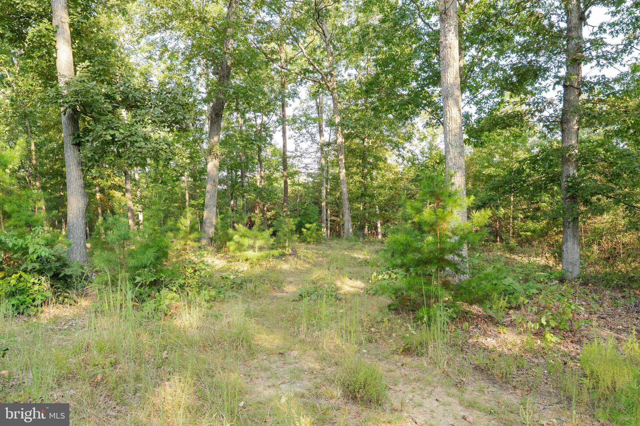 SLEEPY CREEK VIEW - Residential